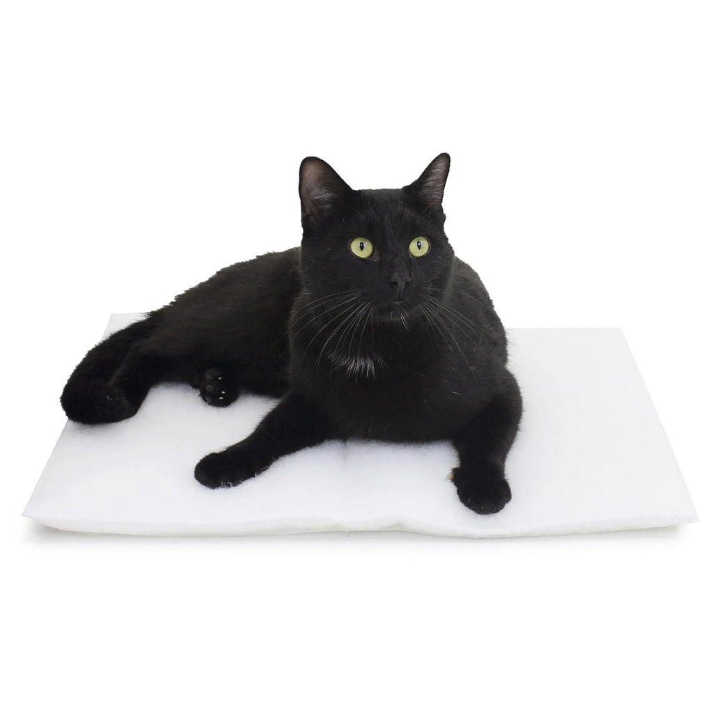 Mysterious Purr Padd